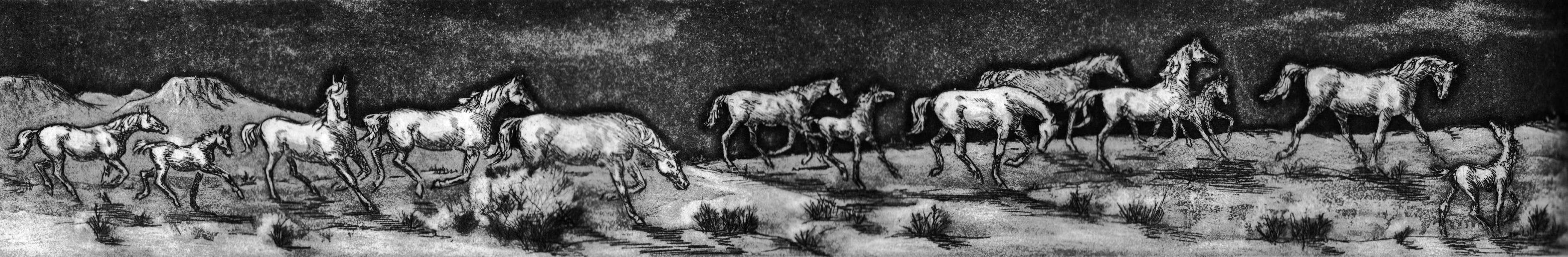 13 Horses in the Moonlight - Etching